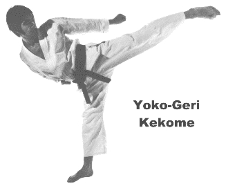 yoko-geri